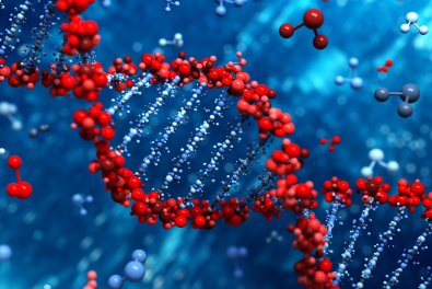 Whole Genome Sequencing